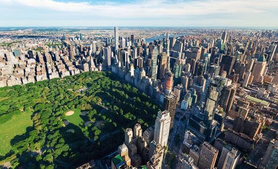 Central Park, New York'a yardım ederken iklim değişikliğine uyum sağlar