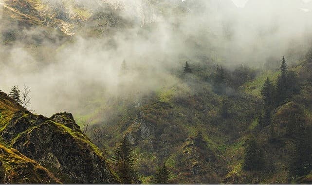 4 Bölümden Oluşan ‘Vahşi Karpatlar’, 26 Eylül Cumartesi Saat 20.00’de Art Arda Tüm Bölümleriyle National Geographic WILD Ekranlarında!