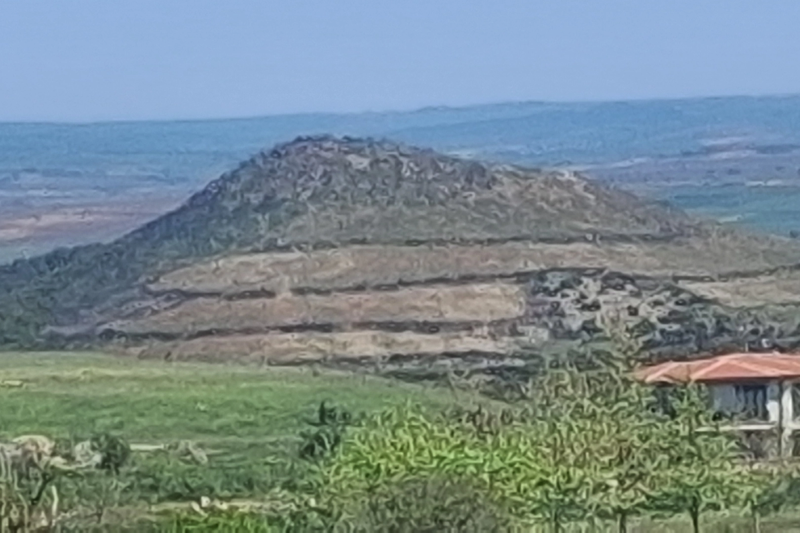 Keşan Sivritepe’de Yangın Alanı Yeniden Yeşeriyor