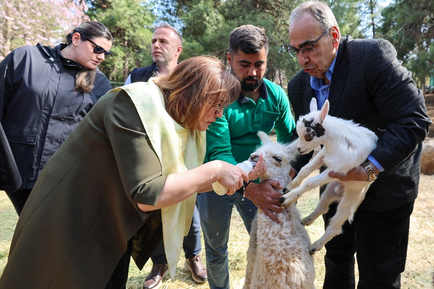 Gaziantep Doğal Yaşam Parkı’nda Doğan İlk Zürafa Yavrusu Ziyaretçileriyle Buluştu