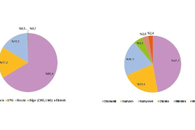 ulastirma-sektoru-nihai-enerji-tuketim-istatistikleri-2024.jpg